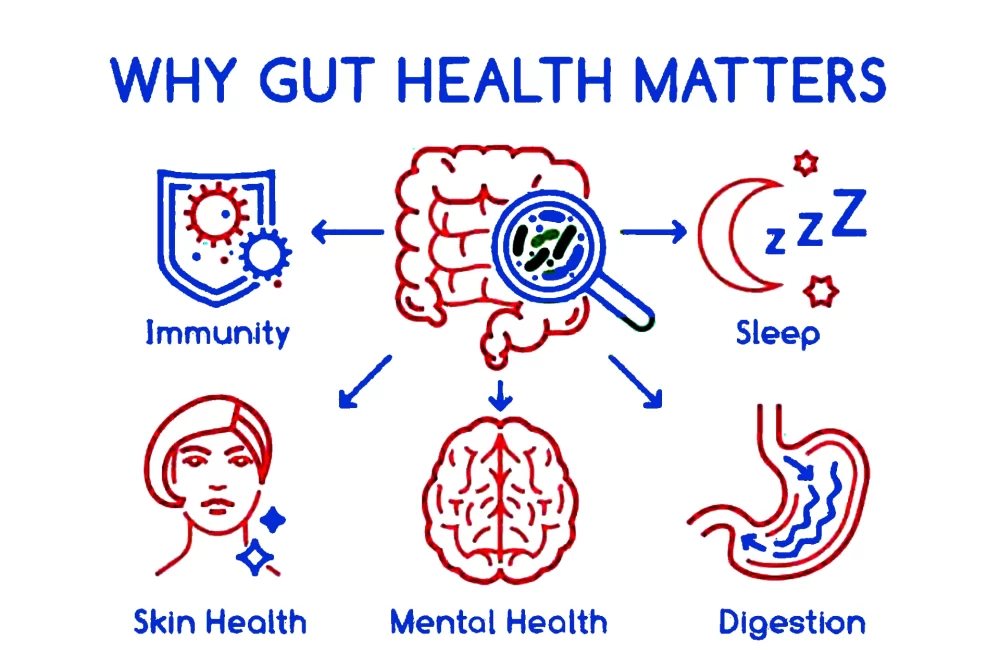 guts-why-it-all-matter-about_weight-loss-unlocked