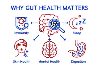 guts-why-it-all-matter-about_weight-loss-unlocked